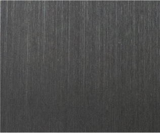 LH-S1 hairline