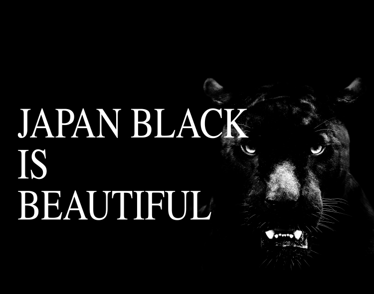 JAPAN BLACK IS BEAUTIFUL:Black stainless steel :Abel Black